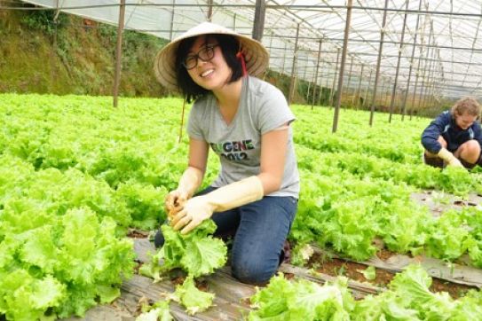 Farming tours attract many visitors to Da Lat city